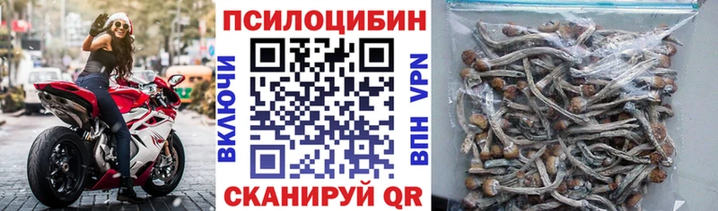 Псилоцибиновые грибы прущие грибы  Жуков 