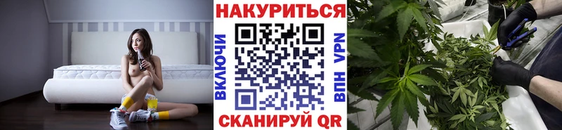 Марихуана White Widow  закладки  Жуков 